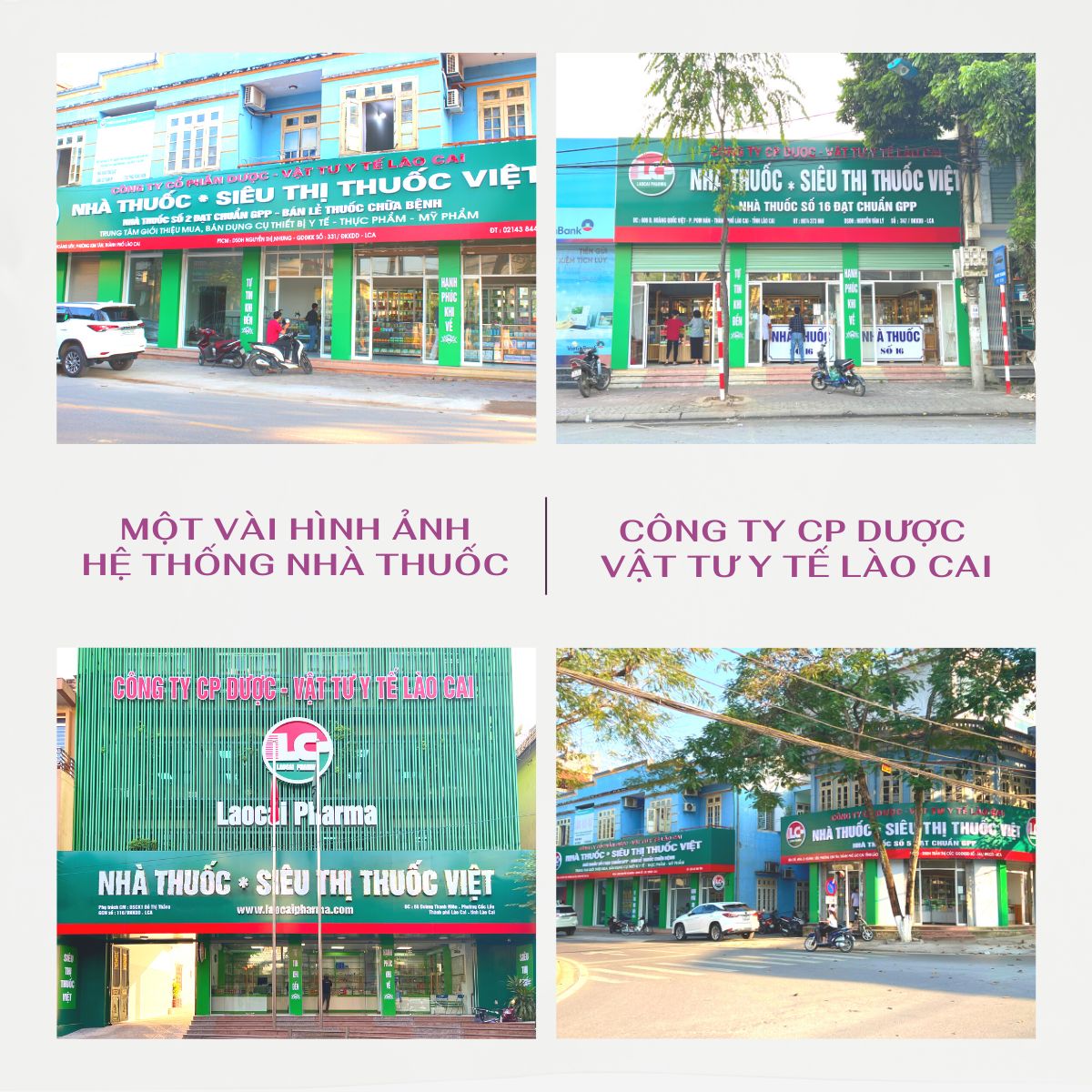 Khởi động dự án chuyển đổi số công ty CP dược Lào Cai Pharma 7