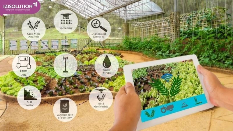 Bài học rút ra từ câu chuyện chuyển đổi số của Langbiang