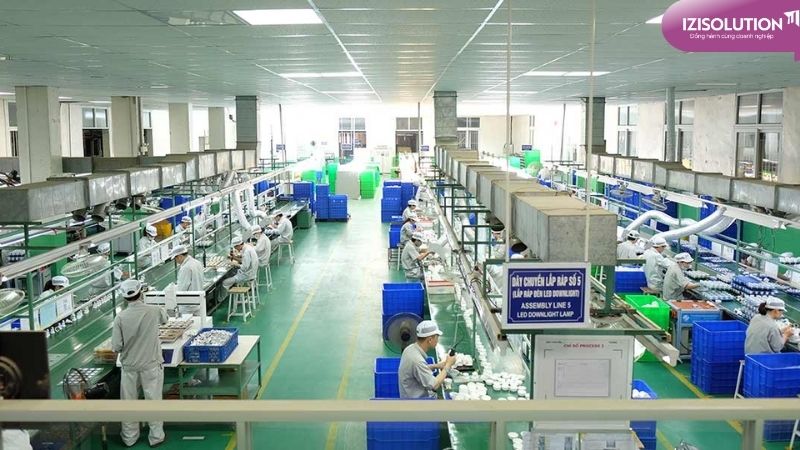 Định hướng phát triển trong tương lai của Rạng Đông